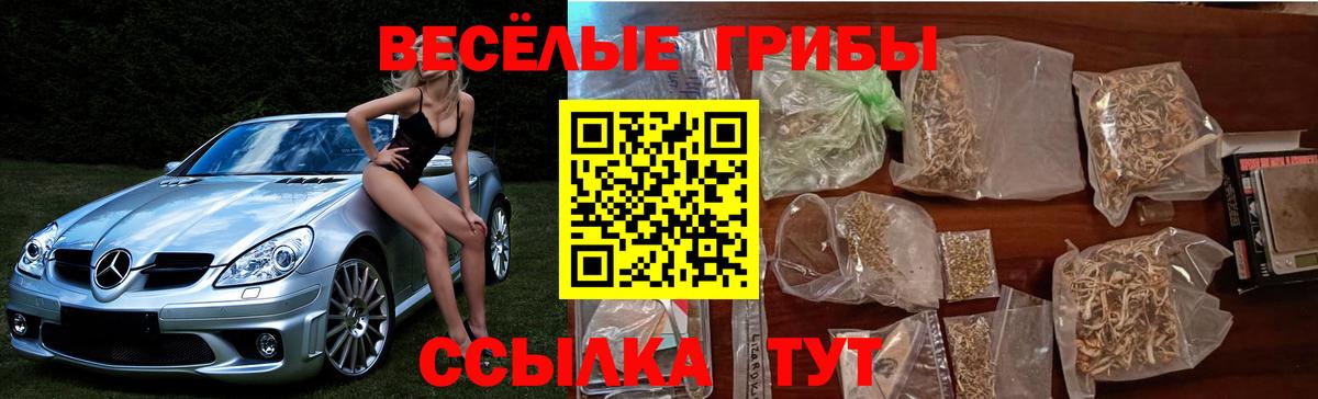 купить закладку  Вход с VPN  Зерноград  Галлюциногенные грибы прущие грибы 